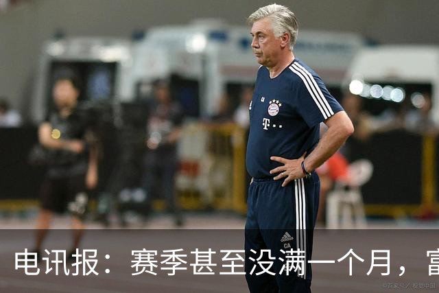 电讯报：赛季甚至没满一个月，富勒姆对卡里克来说已经成了生死战